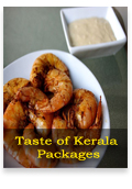 Kerala weekend Package tour